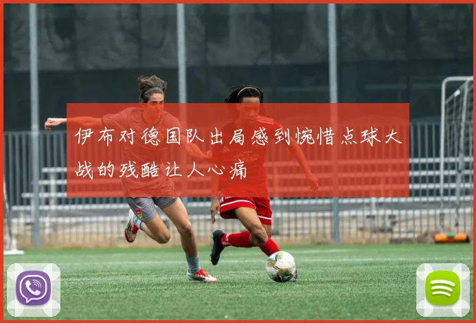 伊布对德国队出局感到惋惜点球大战的残酷让人心痛