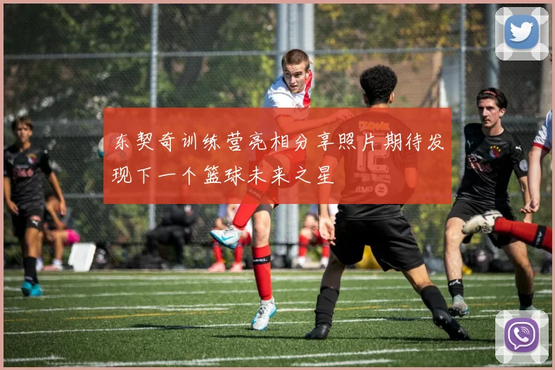 东契奇训练营亮相分享照片期待发现下一个篮球未来之星