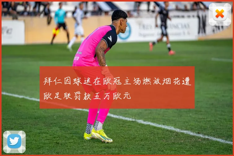 拜仁因球迷在欧冠主场燃放烟花遭欧足联罚款五万欧元